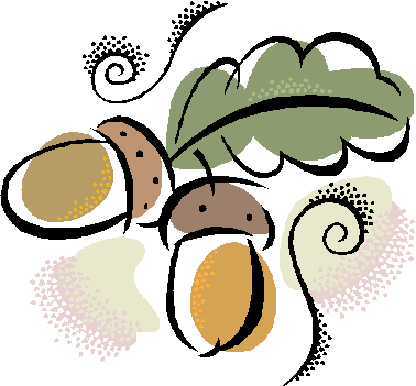 acorns